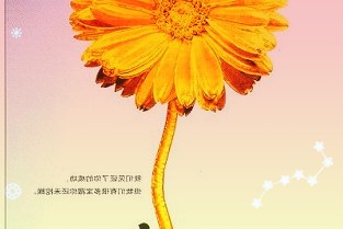 报道称交通运输部下一步将重点开展以下工作
